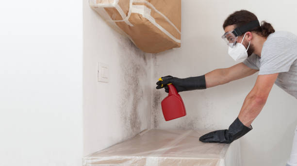 Professional Mold Removal technician working in Pflugerville, TX