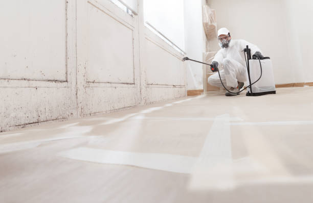 24/7 Emergency Mold Removal experts in Pflugerville, TX